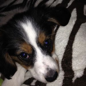 Meet your Posher, Kristina